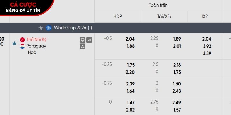 Soi kèo Thổ Nhĩ Kỳ vs Paraguay qua tỷ lệ